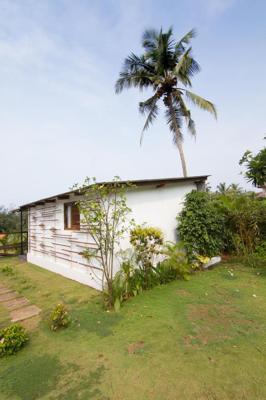 לינה וארוחת בוקר קלנגוטה Casa Cubo By The Beach מראה חיצוני תמונה